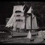 Aprende el manejo de tu cámara de fotos.