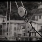 Ikasi zure argazki kamera erabiltzen