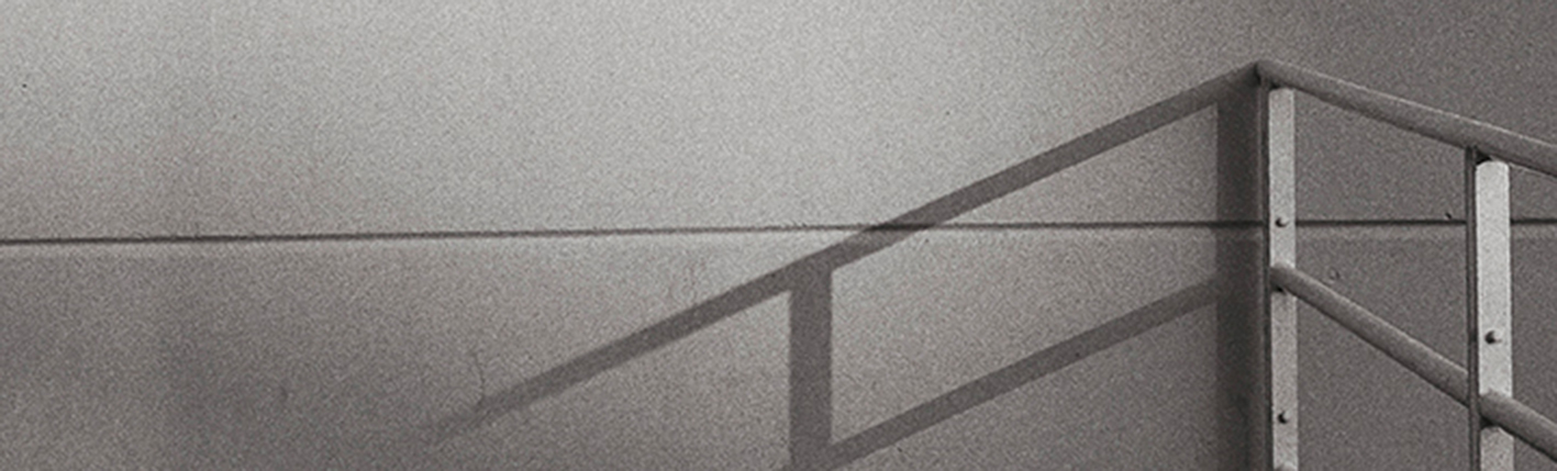 Argazkigintza Smartphonarekin